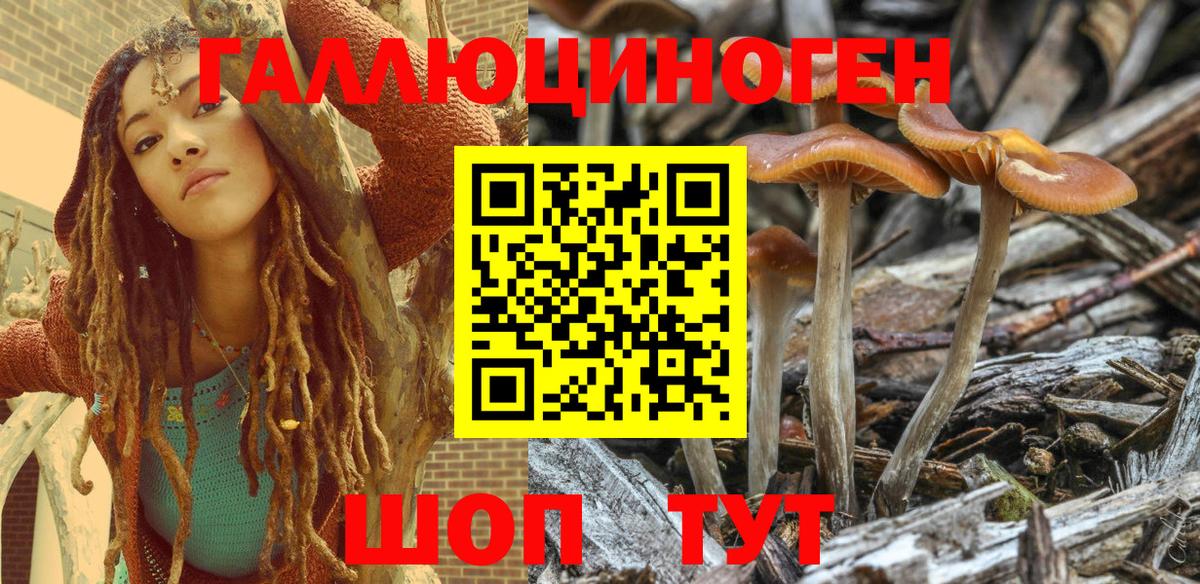 Псилоцибиновые грибы GOLDEN TEACHER Ульяновск