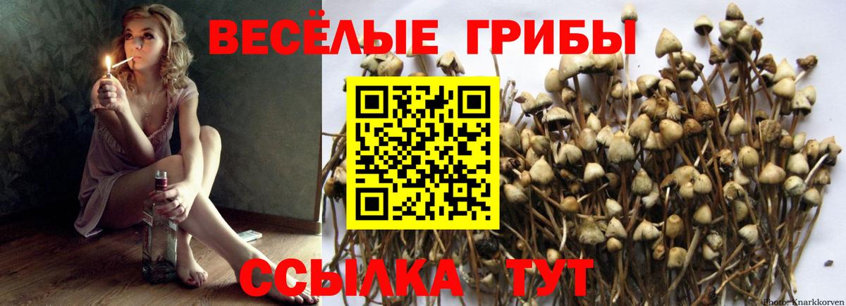 Псилоцибиновые грибы Psilocybine cubensis  Вход с VPN  Ульяновск  Галлюциногенные грибы прущие грибы 